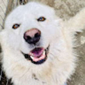 Meet your Posher, Bethany